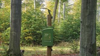 Interaktiver Lehrpfad - Erlebnispfad Trebeltal - Station Schreiadler