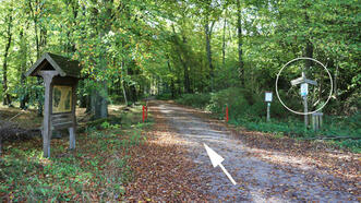 Interaktiver Lehrpfad - Erlebnispfad Trebeltal - Hauptschneise