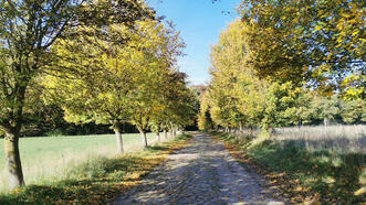 Interaktiver Lehrpfad - Erlebnispfad Trebeltal - Weg zum Wald