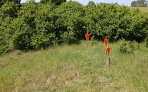 Naturlehrpfad Hellberge Franzburg
