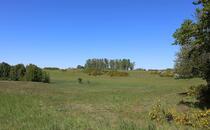 Naturlehrpfad Hellberge Franzburg –