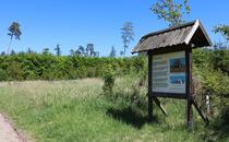 Naturlehrpfad Hellberge Franzburg – Hügelgräber