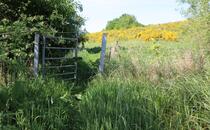 Naturlehrpfad Hellberge Franzburg – Tür