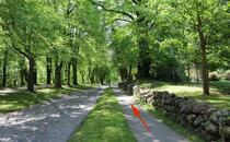 Naturlehrpfad Hellberge Franzburg – Friedhof