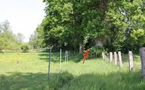 Naturlehrpfad Hellberge Franzburg