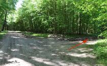 Naturlehrpfad Hellberge Franzburg – Waldweg