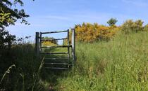 Naturlehrpfad Hellberge Franzburg – Tür