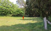 Naturlehrpfad Hellberge Franzburg