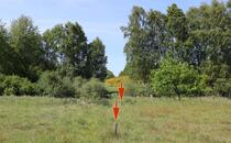 Naturlehrpfad Hellberge Franzburg – Holzpflöcke