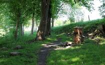 Naturlehrpfad Hellberge Franzburg – Quelle
