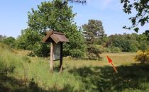 Naturlehrpfad Hellberge Franzburg – Trockene Lebensräume