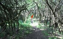 Naturlehrpfad Hellberge Franzburg