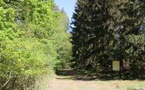 Naturlehrpfad Hellberge Franzburg – Unsere Großpilze