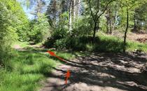 Naturlehrpfad Hellberge Franzburg – Wegführung