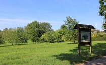 Naturlehrpfad Hellberge Franzburg – Streuobswiese