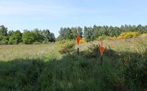 Naturlehrpfad Hellberge Franzburg – Holzpflöcke