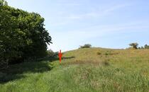Naturlehrpfad Hellberge Franzburg – Holzpflöcke