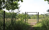 Naturlehrpfad Hellberge Franzburg – Tür am Utkiek