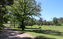 Naturlehrpfad Hellberge Franzburg – Sportplatz