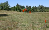 Naturlehrpfad Hellberge Franzburg – Holzpflöcke