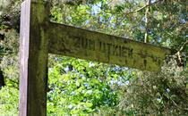 Naturlehrpfad Hellberge Franzburg – Wegweiser