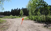 Naturlehrpfad Hellberge Franzburg – Waldkreuzung