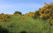 Naturlehrpfad Hellberge Franzburg
