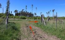 Naturlehrpfad Hellberge Franzburg – Abzweig