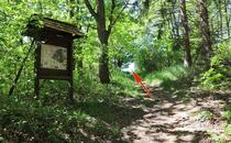 Naturlehrpfad Hellberge Franzburg – Rote Waldameise