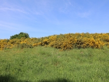 Naturlehrpfad Franzburger Hellberge