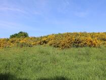 Naturlehrpfad Franzburger Hellberge