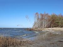 Badestelle Fuhlendorf