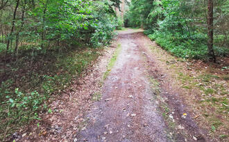 Waldweg Naturlehrpfad Fuhlendorf