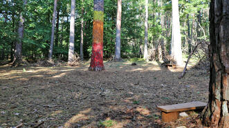 Naturlehrpfad Fuhlendorf - Station 7 - Baumkreis