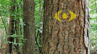 Pfad des Waldauges Fuhlendorf