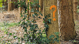 Tierrätselpad Fuhlendorf