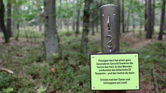 Naturlehrpfad Fuhlendorf - Station 6 - Terpentinpumpe