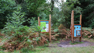 Naturlehrpfad Fuhlendorf - Station 3 - Specht