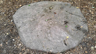 Naturlehrpfad Fuhlendorf - Station 2 - Tierspuren