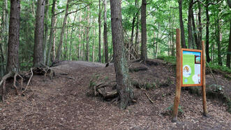 Naturlehrpfad Fuhlendorf - Station 5 - Fuchs