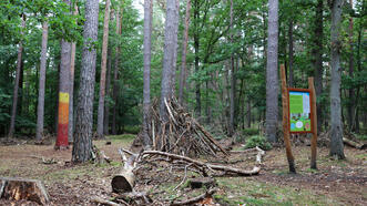 Naturlehrpfad Fuhlendorf - Station 7 - Verzauberter Wald