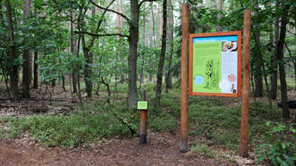 Naturlehrpfad Fuhlendorf - Station 6 - Harzgewinnung