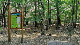 Naturlehrpfad Fuhlendorf - Station 2 - Tierspuren