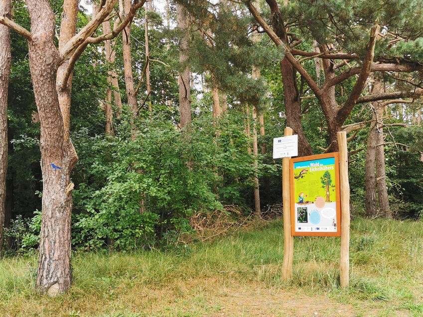 Lehrpfade: Naturlehrpfad Fuhlendorf