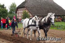 Freilichtmuseum Klockenhagen - Schaupflügen