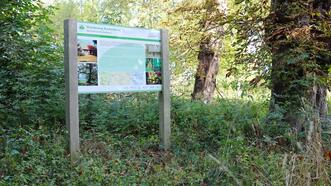 Lehrpfad Wanderweg Buchenhorst - Infotafel Alte Försterei Buchenhorst