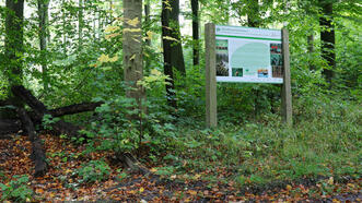Lehrpfad Wanderweg Buchenhorst - Infotafel: Holzproduktion