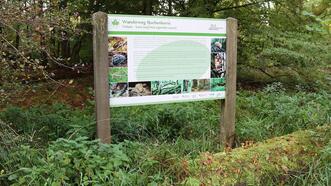 Lehrpfad Wanderweg Buchenhorst - Infotafel Totholz