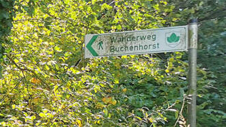 Lehrpfad Wanderweg Buchenhorst - Wegweiser