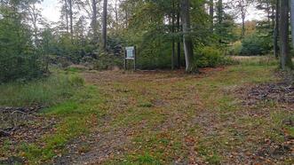 Lehrpfad Wanderweg Buchenhorst - Waldweg